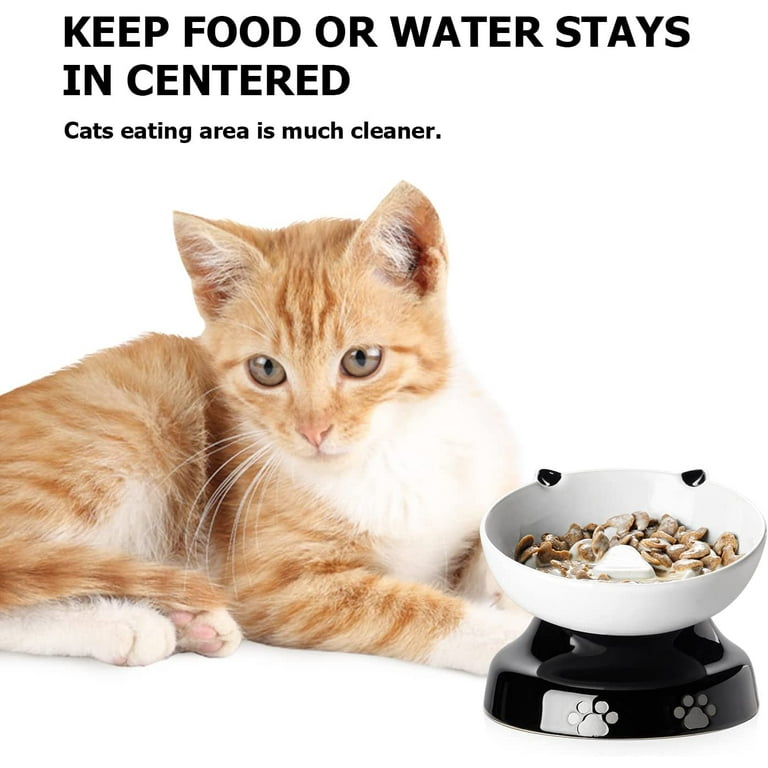 Binkies pet supply elevated cat bowl 2025