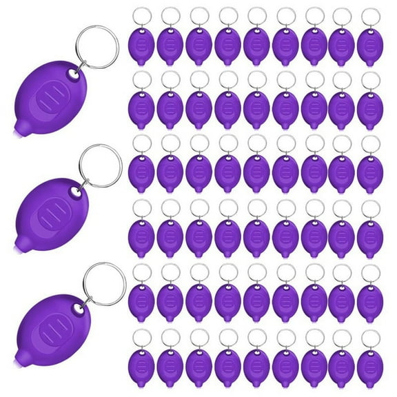 48pcs Mini UV Keychain Flashlight,Portable Black Light