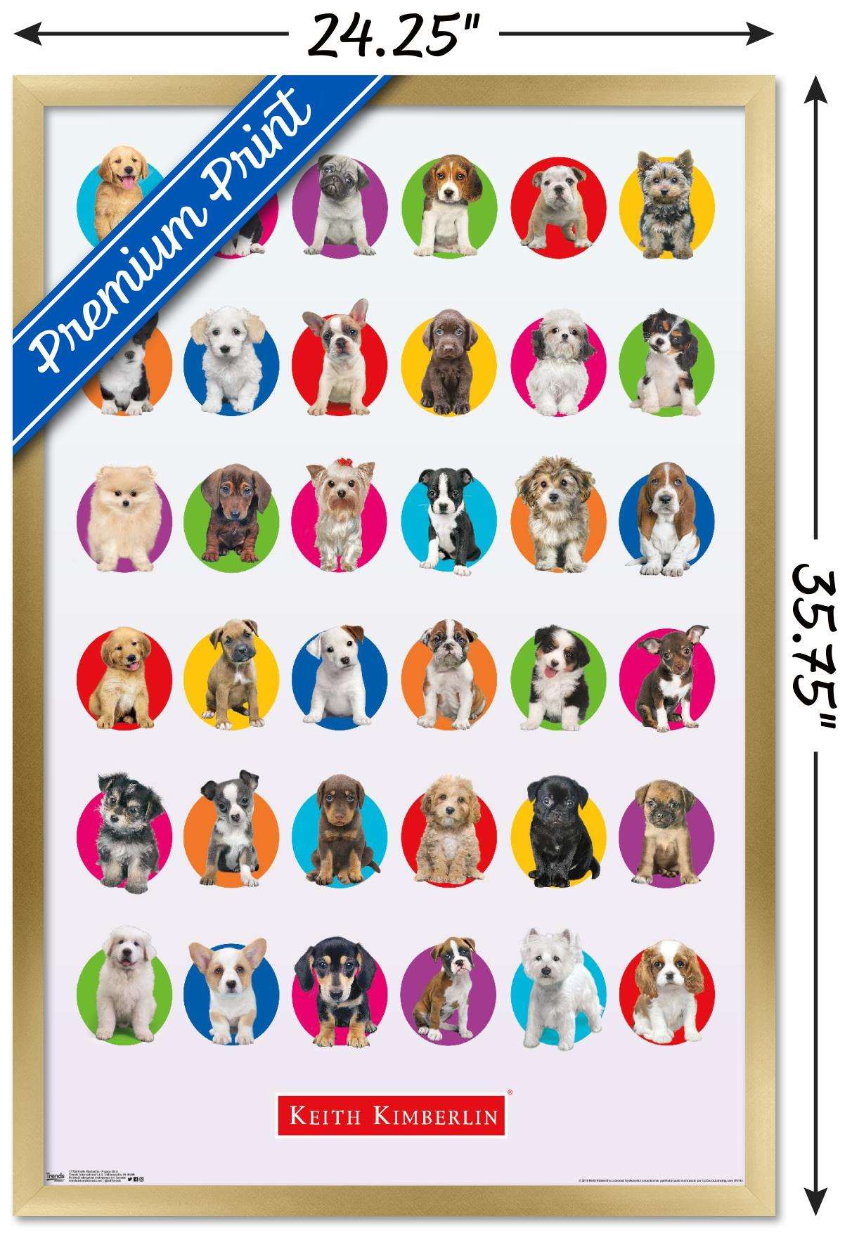 Keith Kimberlin - Puppy Grid Wall Poster, 22.375" x 34", Framed