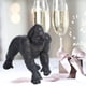 thumbnail image 5 of Modelo de chimpancé, modelo animal artificial de PVC, modelo animal, juguetes para animales, rendimiento confiable, 5 of 8