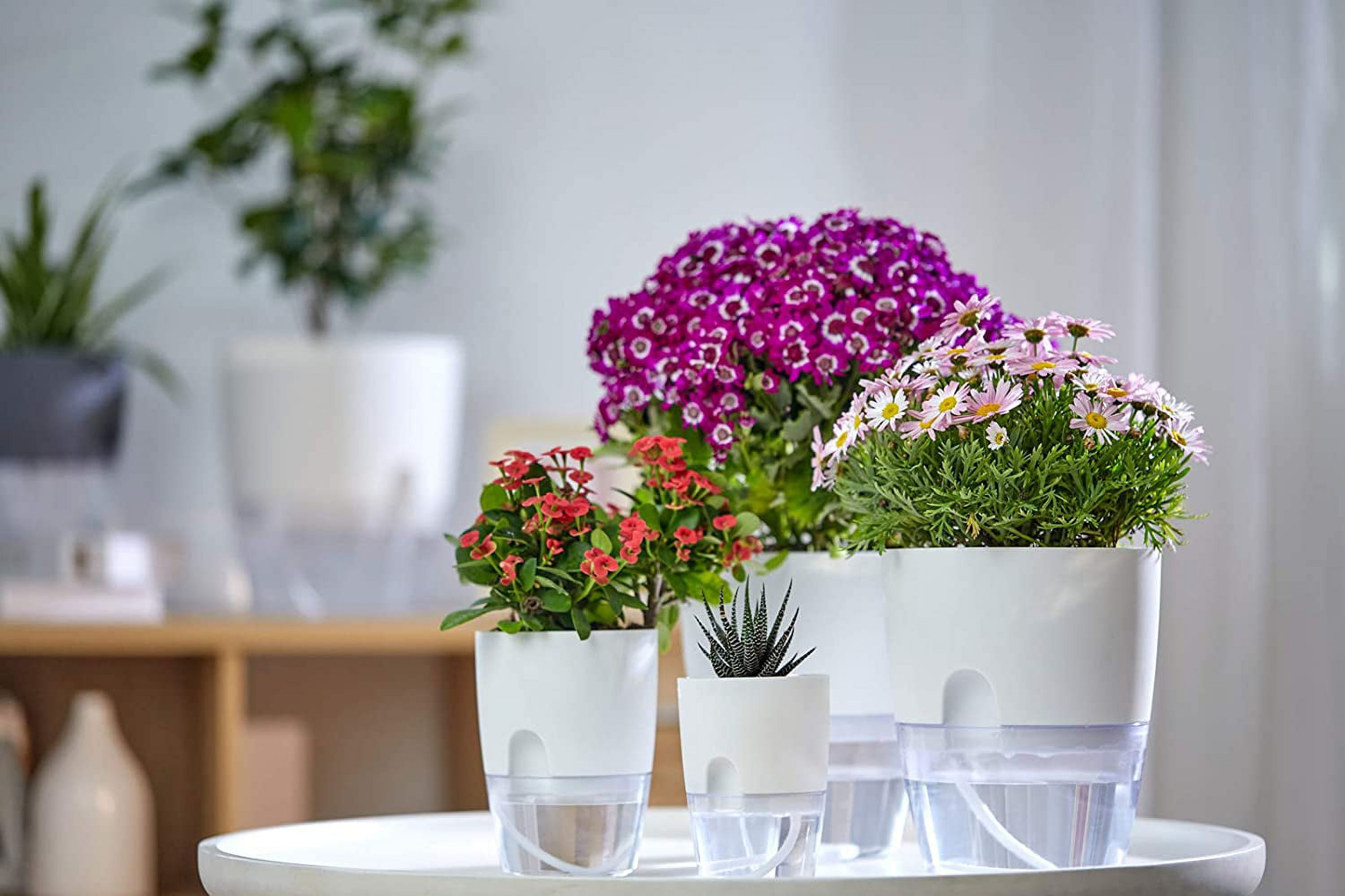 Self Watering Pots for Indoor Plants, Flower Pots Outdoor, 3 Pack 6 Inch Self Watering Planter, Plant Pots , Plastic Flower Pots, Plant Pots Indoor, Flower Pots Indoor, White