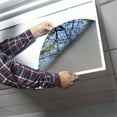 thumbnail image 3 of Octo Lights - Fluorescent Light Covers - 2x4 Flexible Ceiling Light Filters - For Classrooms and Offices - Tree 006, 3 of 7