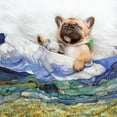 thumbnail image 3 of XMXY Dog Throw Blankets, Soft Cozy Post Impressionist Pet Blankets for Couches Machine Washable for Indoor Cats Dogs, Large Size, 3 of 8