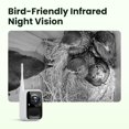 thumbnail image 4 of Casita para pájaros Birdfy con cámara solar 1080HD y visión nocturna, 4 of 9