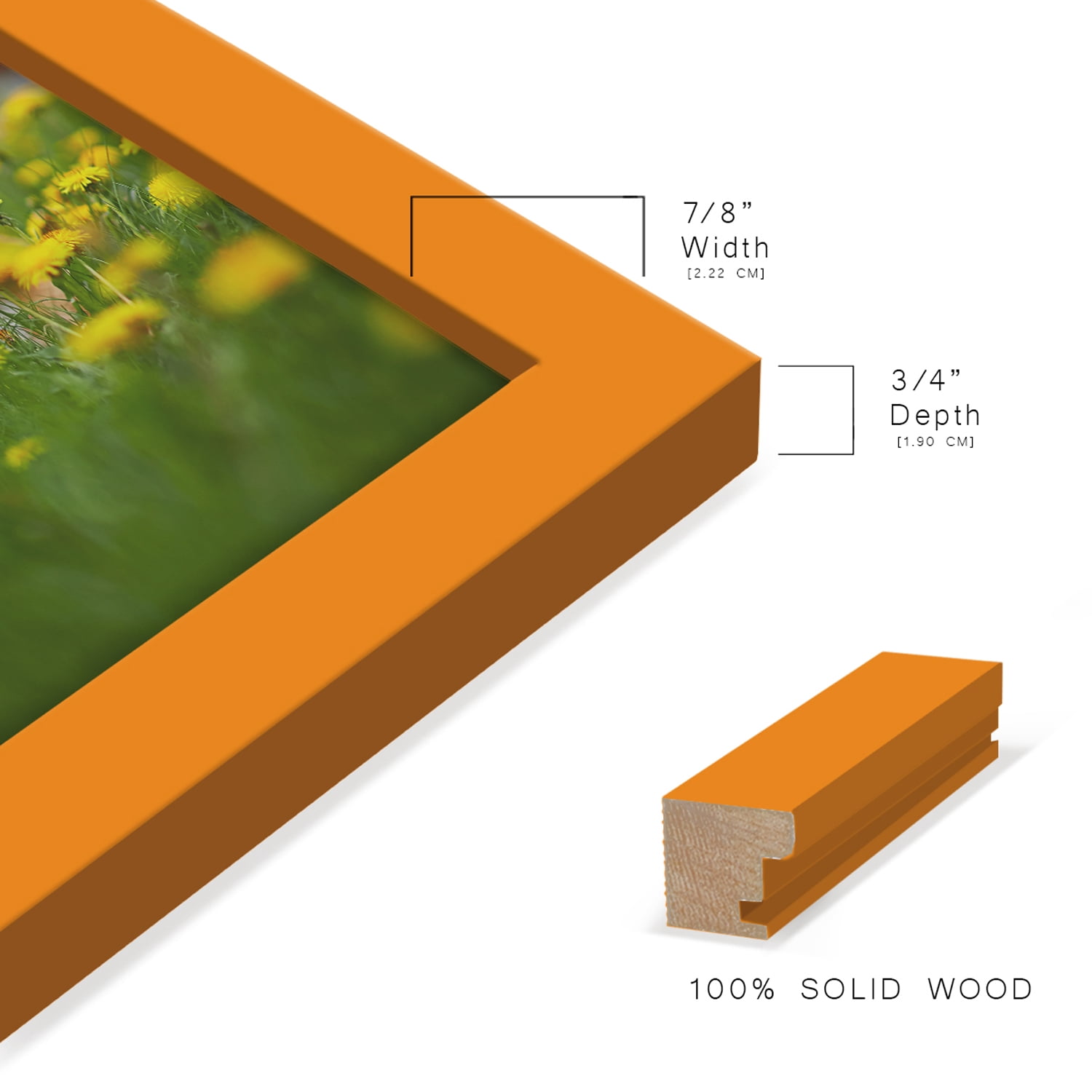 Modern 5 in. x 7 in. Orange Picture Frame (Set of 2)