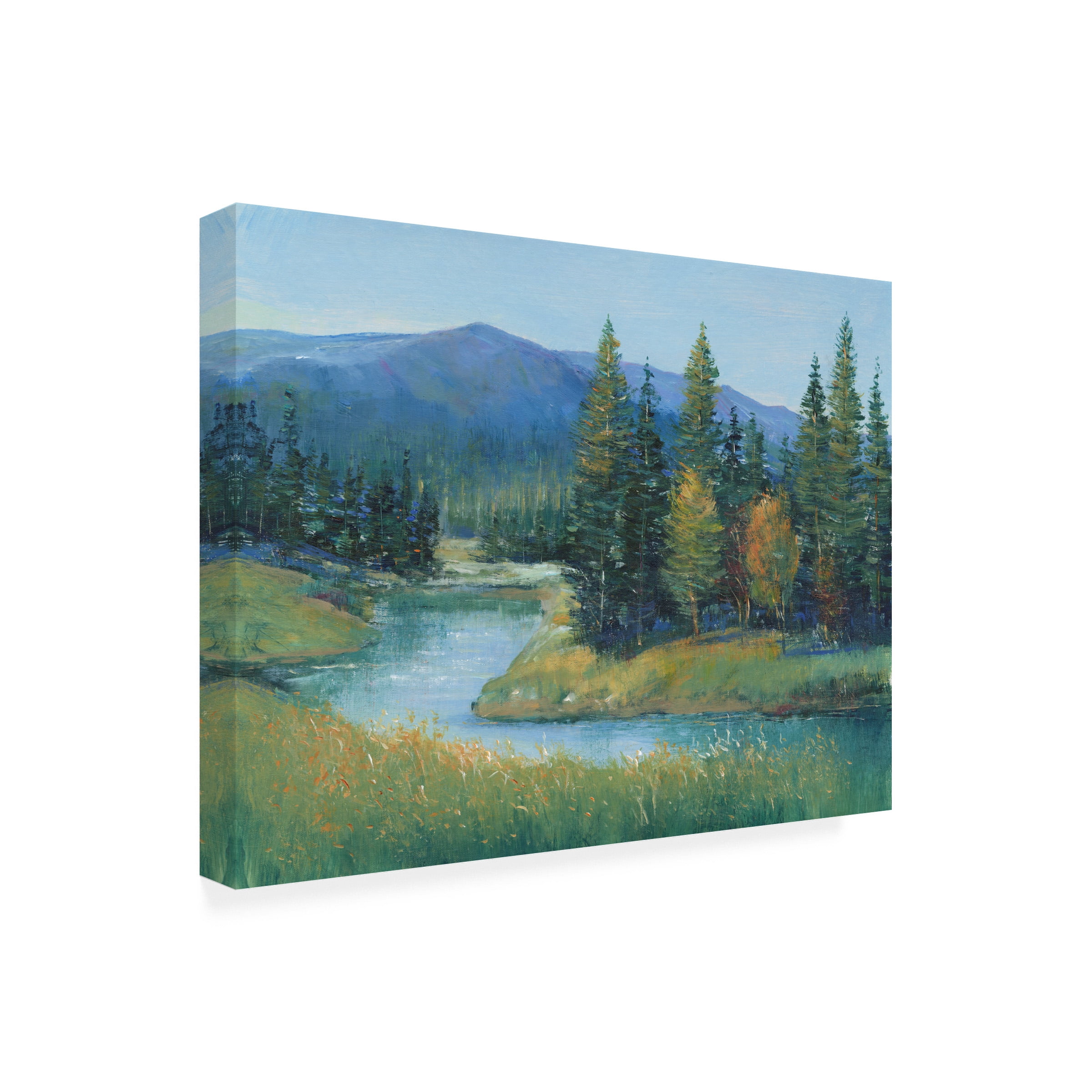 Tim OToole 'Trout Stream II' Canvas Art
