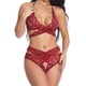 thumbnail image 3 of Conjunto de ropa interior de malla de encaje para mujer, lencería sexy, ropa de dormir, rojo vino, XL tholdsy XX000073-16, 3 of 7