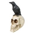 thumbnail image 4 of Myth and Legends Black Odin Raven Crow Perching On Skull Decorative Figurine, 4 of 9