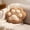 Multicolor431, variant on Cute Moggy Paw Shaped Pillow, Soft Cuddle Cushion for Home, Office, Car, Ideal Gift for Cat Lovers, Back Support for Napping and Relaxation