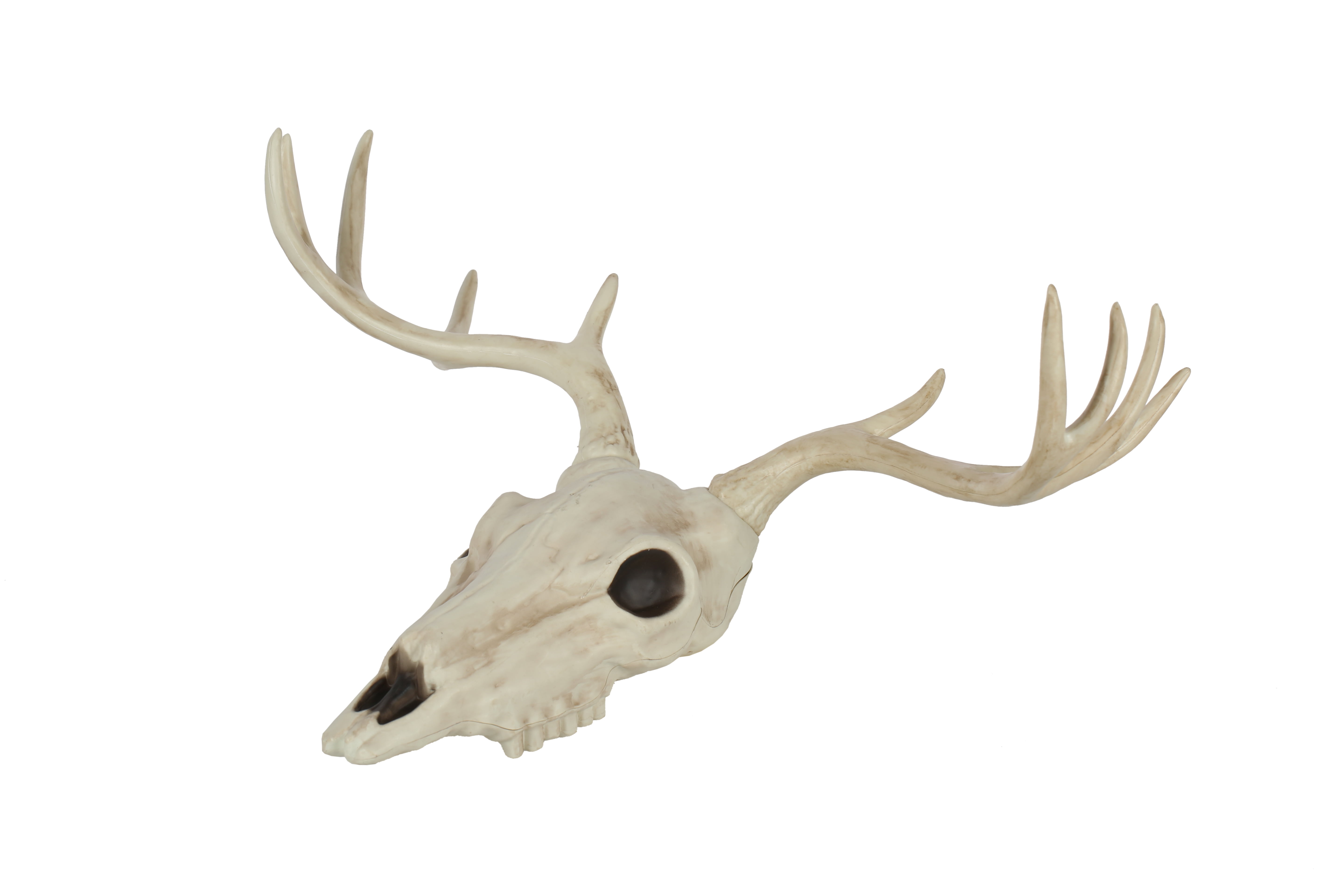 Halloween Large Faux Deer Skull Decoration 21.5 in by Way To