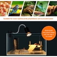 thumbnail image 2 of (Lámpara de calor 25w/50w)Lámpara de calor para reptiles, luz para reptiles con manguera giratoria de 360° y temporizada, lámpara de calefacción con apto para dragón barbudo, 2 of 5