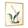 thumbnail image 2 of Designart 'Ancient London Plants V' Traditional Framed Art Print, 2 of 4