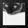 thumbnail image 2 of Bertelli, Jon 12x12 Black Modern Framed Museum Art Print Titled - No Stress, 2 of 5