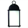 thumbnail image 1 of Yosemite Home Decor Tara 1 Light Exterior Lights Wall Mount in Black, 1 of 1