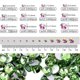 thumbnail image 3 of Flat Back Nail Crystals, Glass Crystal Rhinestones For Craft Nails Dance Costumes----apple green--Product code 71301 apple green, 3 of 4