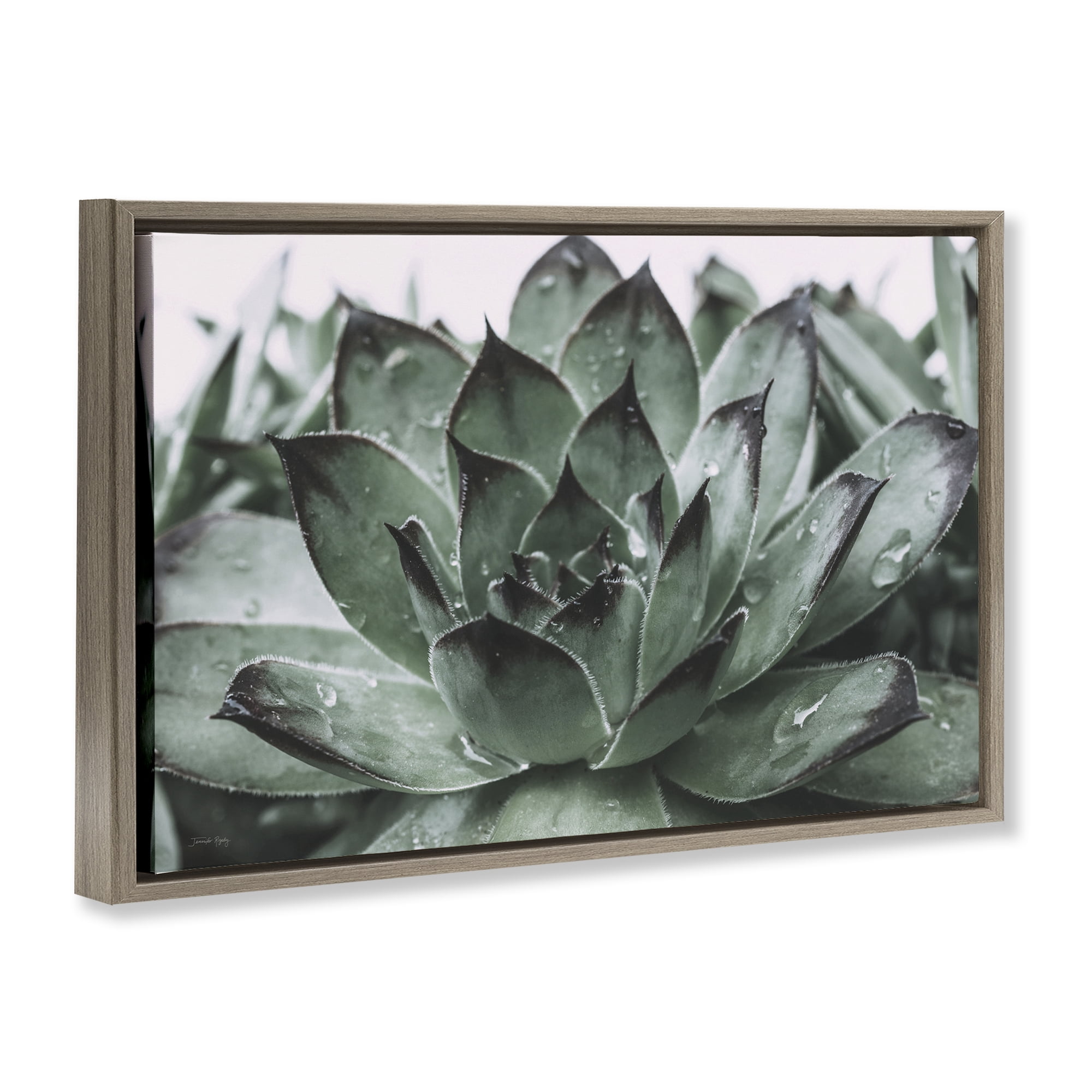 Stupell Industries Succulent with Rain Droplets Plants & Flowers Painting Brown Floater Framed Canvas Art Print Wall Art, 31 x 21