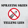 thumbnail image 3 of CafePress - Anti Chemtrail T Shirt - Men's Classic Graphic T-Shirt, 3 of 4