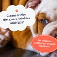 thumbnail image 2 of Toallitas antiarrugas Petpost Bulldog para perros con aceite de coco, 100 unidades, 2 of 8