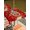 Red, variant on Outdoor Tablecloth with Umbrella Hole and Zipper, Merry Christmas Square Table Cloth 54x54 Inch Waterproof Tablecloth, Red Winter Xmas Cartoon Deer Snowflake Picnic Table Cover for Patio Camping