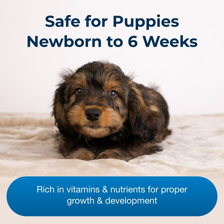 Esbilac puppy formula walmart hot sale