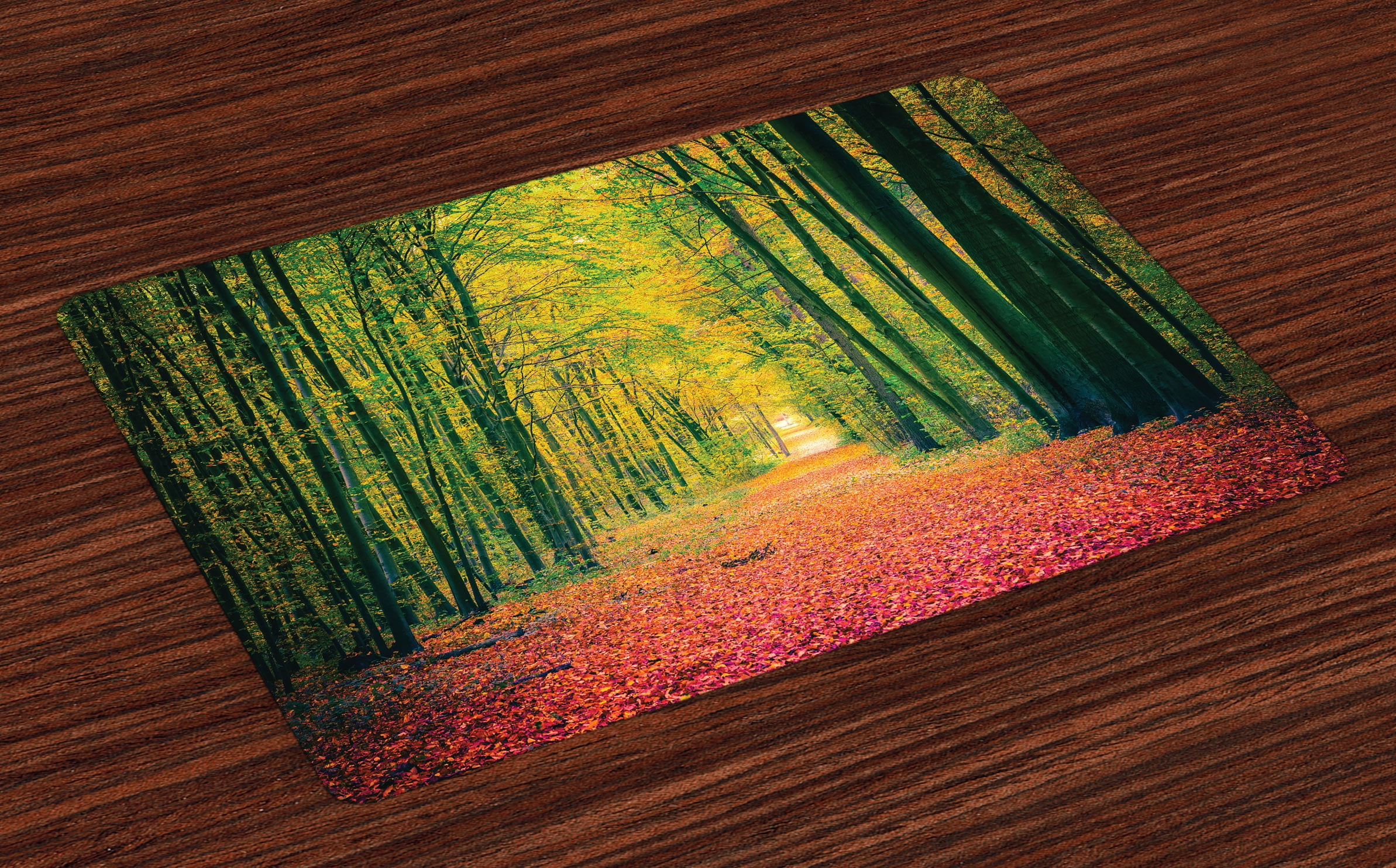 Forest Placemats Set of 4 Pathway in Autumn Dramatic Road to Infinity