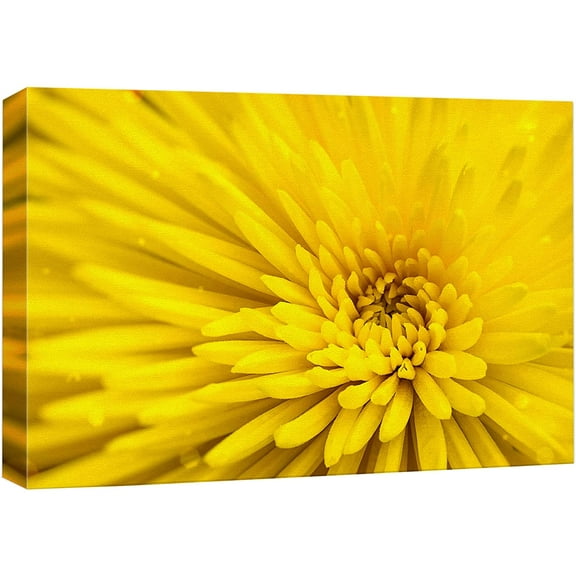 wall26 Canvas Print Wall Art Bright Neon Yellow Button Flower Close Up Nature Floral Photography Realism Botanical Wilderness Zen Rustic Colorful Decorative for Living Room, Bedroom, Office - 16"