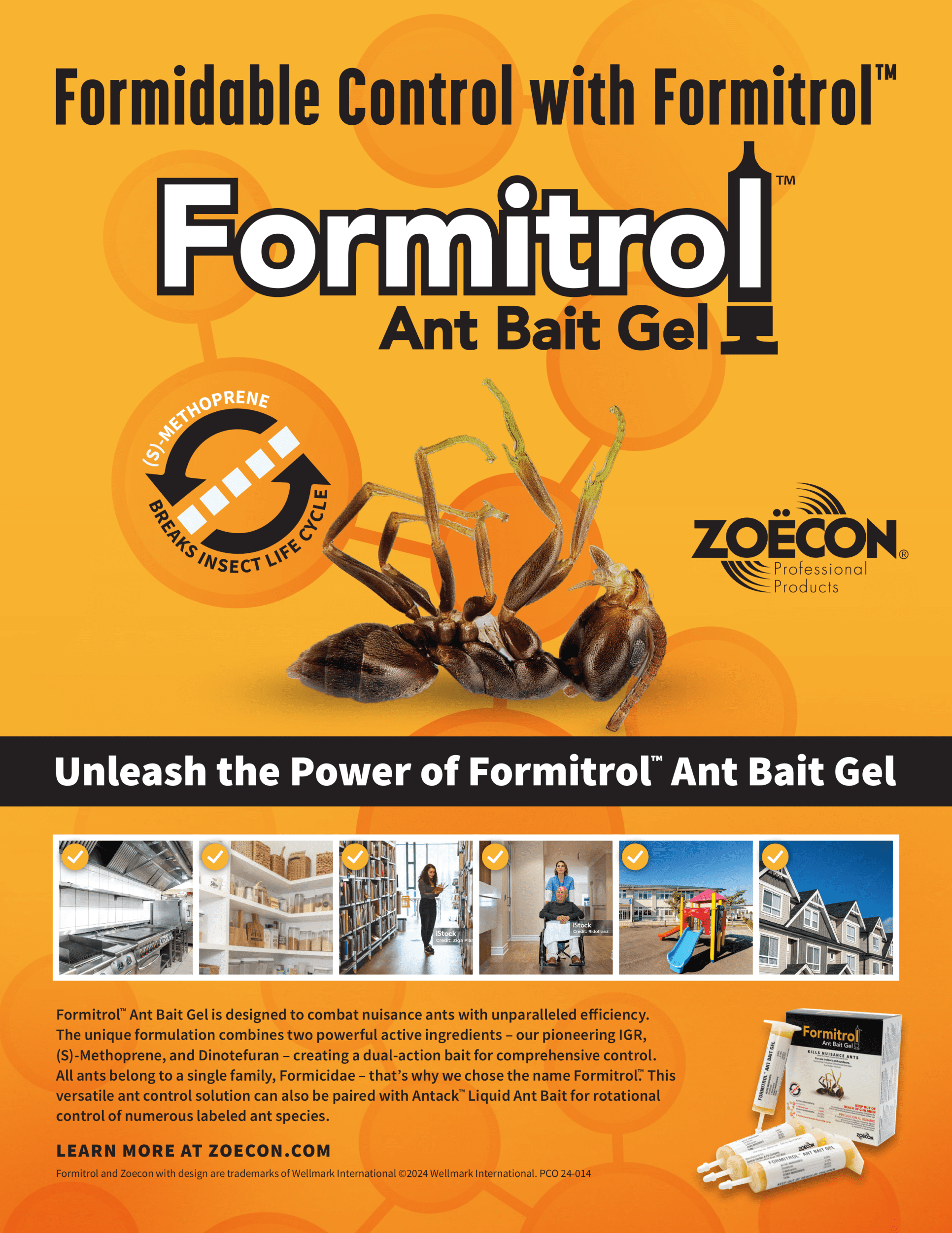 Formitrol Ant Bait Gel - Combats Nuisance Ants with Unparalleled Efficiency - 1 Pack (4 x 30g Tubes) by Zoecon