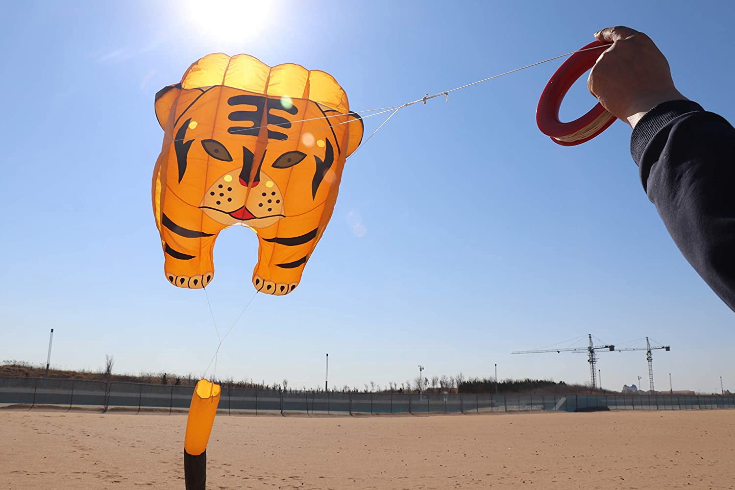 Large 3D Parafoil Kite for Adults and Kids, Easy-Fly Soft Nylon Kite with String and Backpack for Beach Park, 244x39 Inch