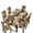 Flower Leopard Tiger Skin, variant on Xoenoiee Beach Starfish Seashell Conch Pattern Tablecloth Chair Cover Set, Washable Table Cloth with Parsons Chair Slipcovers Protective Set of 4 for Home Restaurant Banquet (5 PCS)