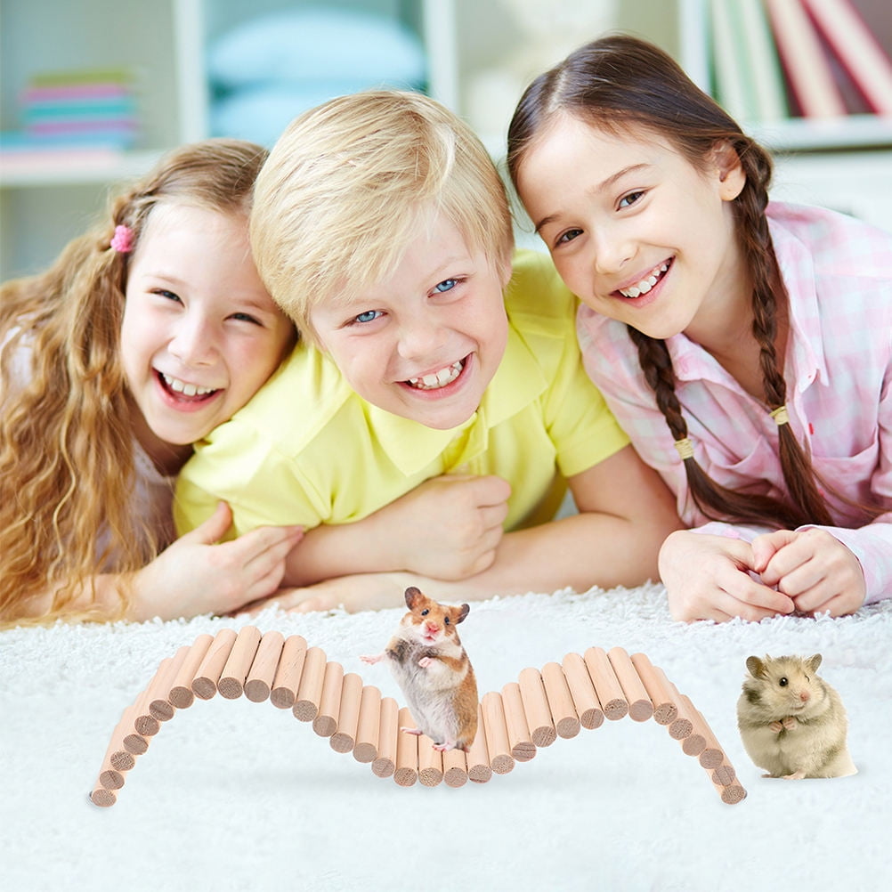 ibasenice Hamster Bridge Bendable Wooden 1 Set For Hamster Chinchilla Mice Gerbil Other Small Animals