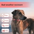 thumbnail image 2 of Light Up Dog Collar, Dog Lights for Night Walking USB Rechargeable Waterproof 7 Colors LED Dog Collar Adjustable for Small Medium Large Dogs Glow in t, 2 of 4