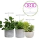 thumbnail image 5 of Angel Grow Light para semillas de plantas de interior, plántulas de claro D Cola Grow Light, 5 of 8