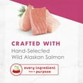 thumbnail image 5 of Fancy Feast Appetizers Wild Alaskan Salmon Adult Wet Cat Food Complement - Ten (10) 1.1 oz. Trays, 5 of 9