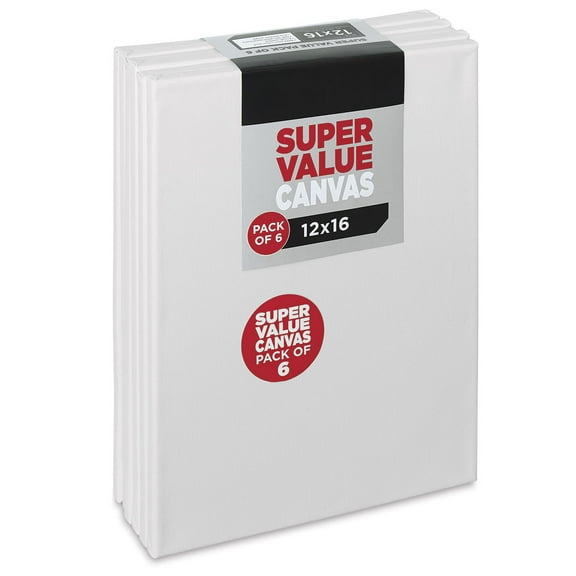 Super Value Canvas Pkg of 6 - 12" × 16"