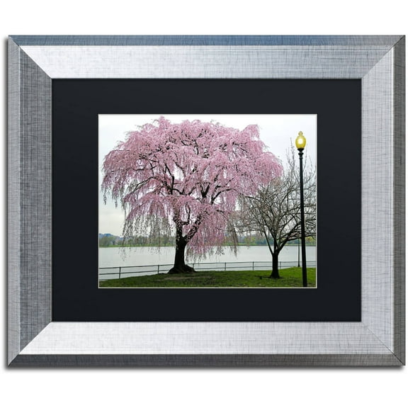 Trademark Fine Art "Cherry Tree" Canvas Art by CATeyes, Black Matte, Silver Frame