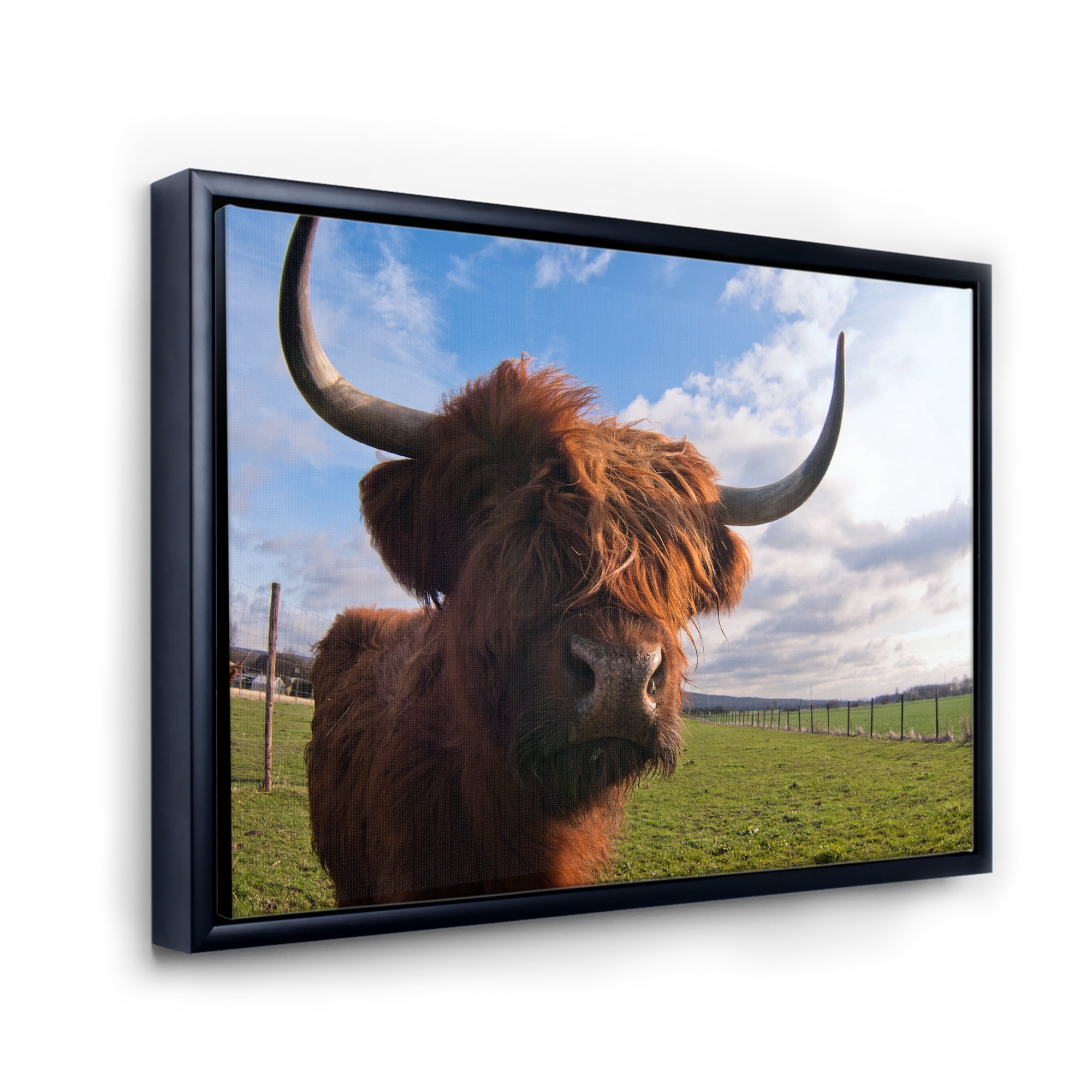 Close Up Portrait Of A Yak 40 in x 30 in Framed Photography Canvas Art Print, by Designart