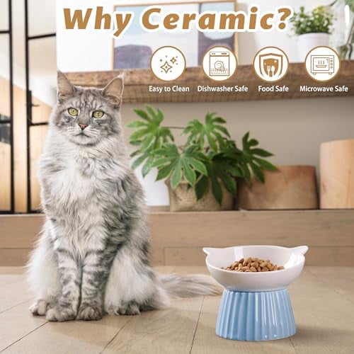 Ceramic Raised Cat Bowl，Tilted Raised Bowl Anti Vomit for Indoor Cats Whisker Friendly Pet Feeder for Cats Puppies, Microwave and Dishwasher Safe (Pink)