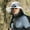 Dray, variant on Staron Outdoor Wide Brim Sun Hat with Fans Solar Power, Solar Fan Hats for Men, Beach Hat Hiking Camping Fishing Hat for Men