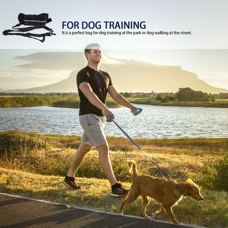 Fanny pack dog leash online