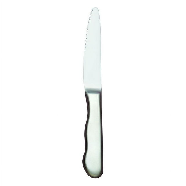 Libbey Couteau à Steak Rond 10 Pouces avec Manche Creux, Inox, Baron Radiant