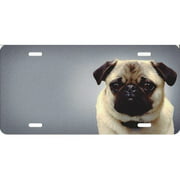 Offset Pug On Gray License Plate