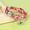 Hot Pink, variant on Didog Floral Personalized Cat Kitten Collar & Bell Engraved Name ID Tag for Small Dogs