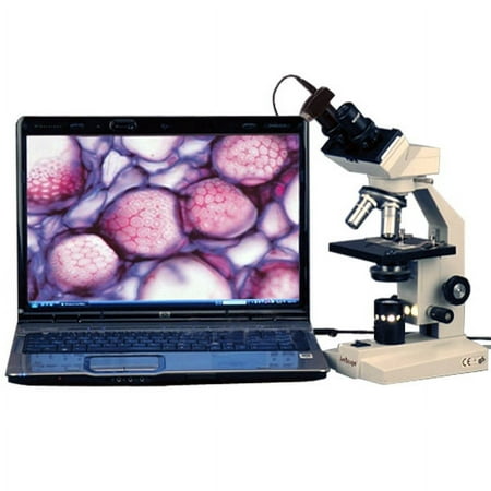 AmScope 40x-2000x Veterinary Compound Microscope with 5MP Camera