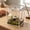 White:5pcs, variant on 5 PCS Jumping Spider Accessories with Rope Bridge Swing Platform Swing and 3 Platform Jumping Spider Enclosure Accessories for Terrarium Decor White