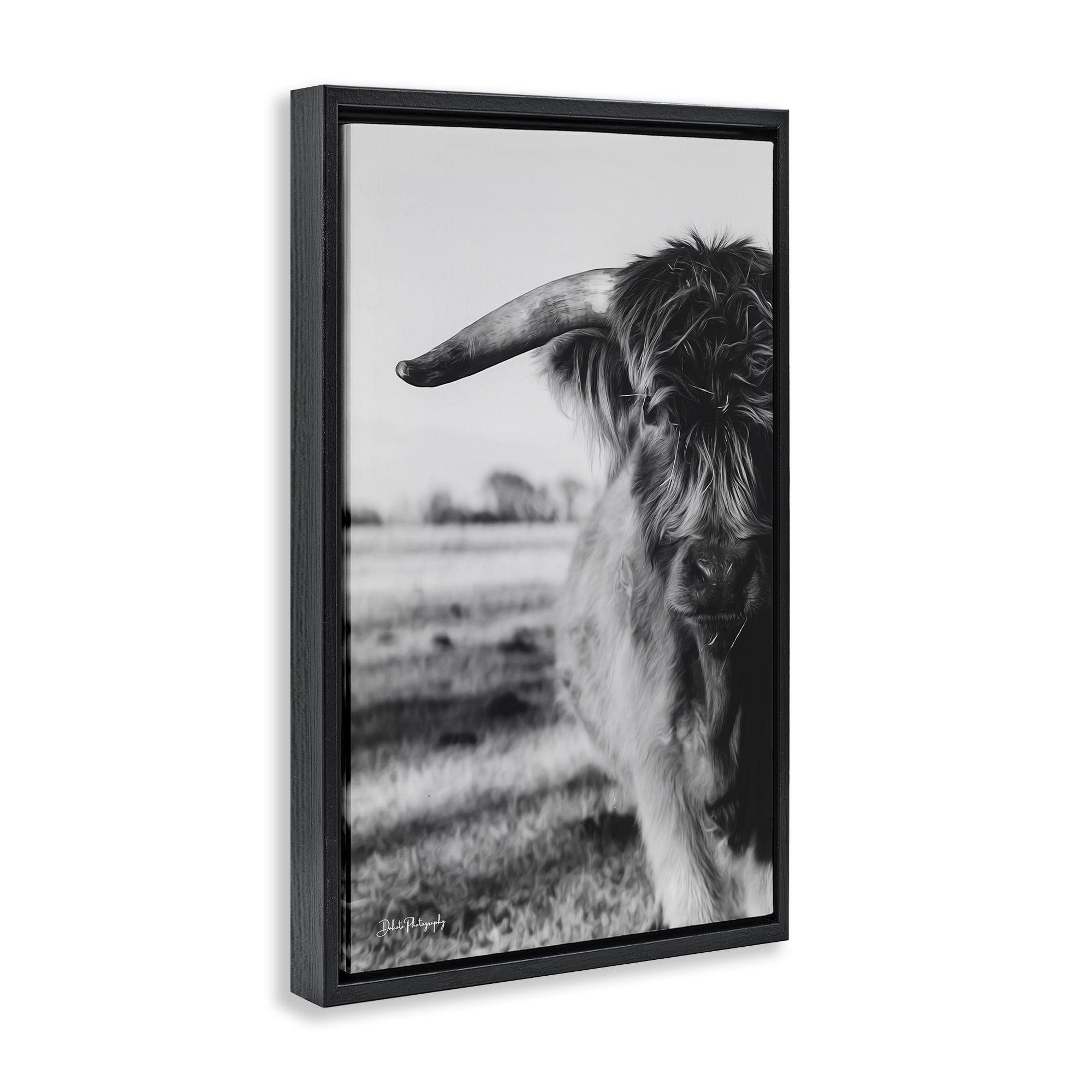 Stupell Industries Baby Cattle in Monochrome Black Framed Floater Canvas Wall Art, design by Dakota Diener