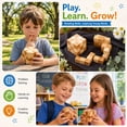 thumbnail image 5 of Paquete de 4 juegos de rompecabezas de madera, juguete de acertijos, rompecabezas 3D para adolescentes y adultos, rompecabezas de lógica de madera, cubo de serpiente de madera, cubo mágico, bola mágic, 5 of 5