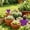 69#Purple, variant on Heart Plant Labels 100Pcs Garden Plant Markers Waterproof Reusable Plastic Tags Vegetable Herb Flower Identification Stakes For Garden Pots Greenhouse Balcony Home Gardening