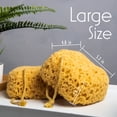 thumbnail image 2 of Esponja de baño MyHomeBody Foam Loofah para ducha, paquete de 3, 2 of 6