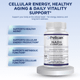 thumbnail image 2 of Pelican NAD+ Complex – Advanced Cellular Energy Support Formula – 60 Capsules, 2 of 6