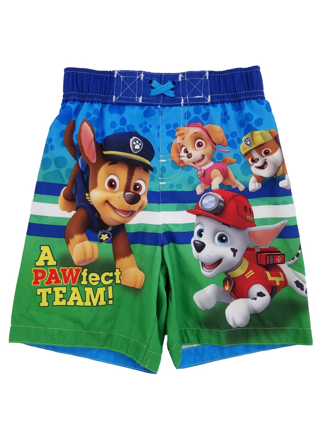 Nickelodeon Paw Patrol Toddler Boys Blue/Green A Pawfect Team Swim Trunks Board Shorts 3T